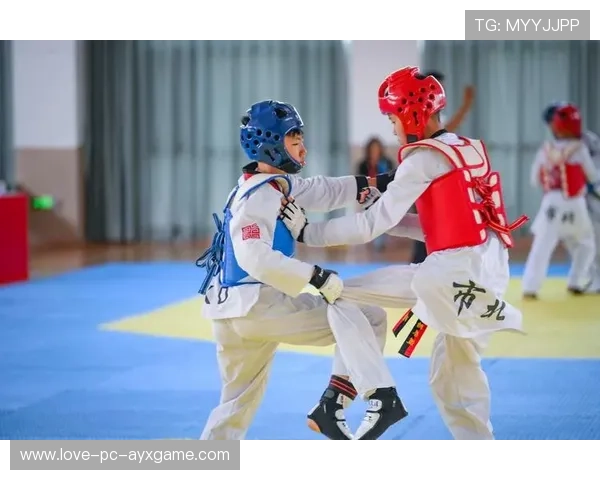 跆拳道青少年参与率提升带动周边产业发展